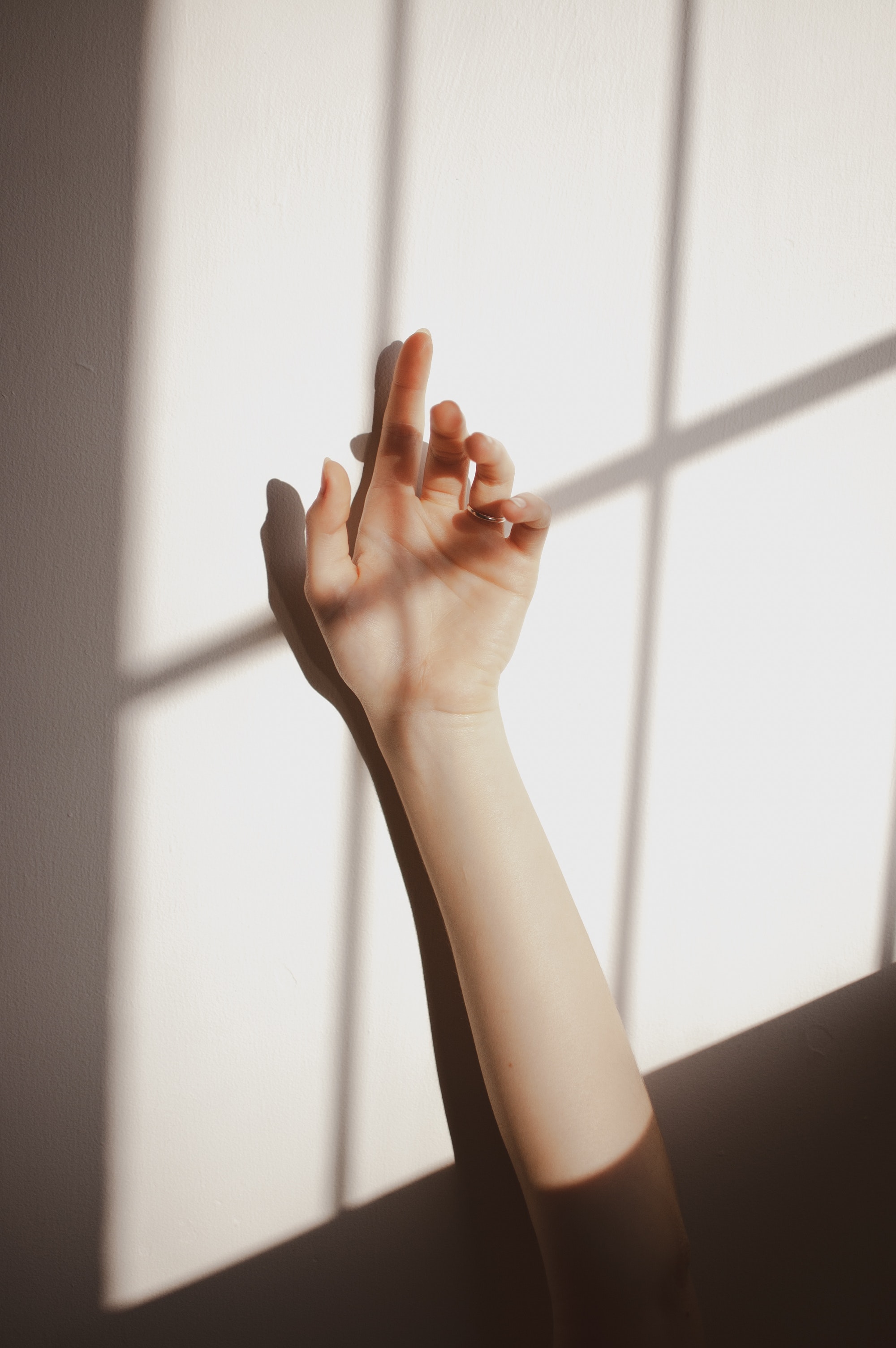 Protect females from domestic violence