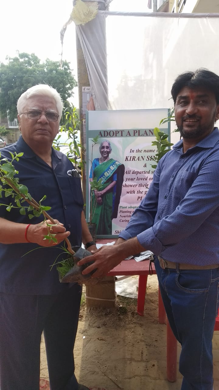 Plant adoption